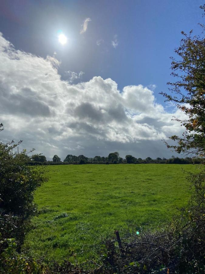 Katie'S Cottage Limerick Junction 外观 照片